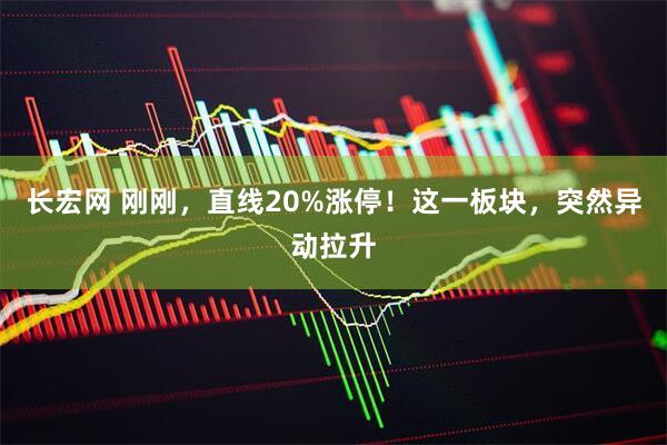 长宏网 刚刚，直线20%涨停！这一板块，突然异动拉升