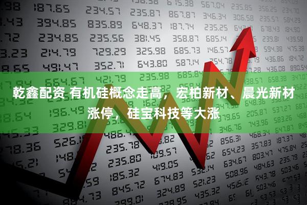 乾鑫配资 有机硅概念走高，宏柏新材、晨光新材涨停，硅宝科技等大涨