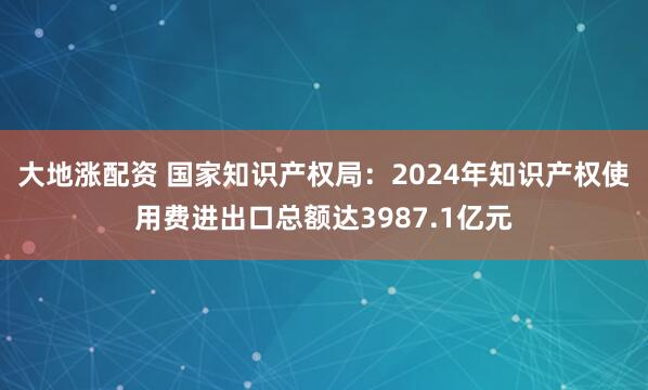 大地涨配资 国家知识产权局：2024年知识产权使用费进出口总额达3987.1亿元