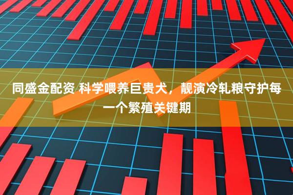 同盛金配资 科学喂养巨贵犬,靓演冷轧粮守护每一个繁殖关键期
